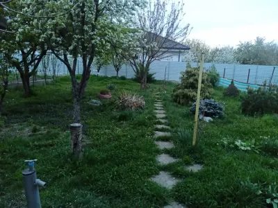 Vand casa 3 camere in bujac, nu accepta credit ipotecar, 540 mp teren, - imagine 2
