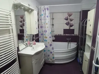 Vand casa 3 camere in bujac, nu accepta credit ipotecar, 540 mp teren, - imagine 7