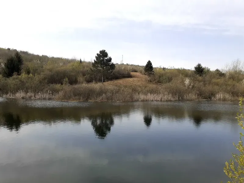 teren de vanzare la lac Brasov Tarlungeni - imagine 7