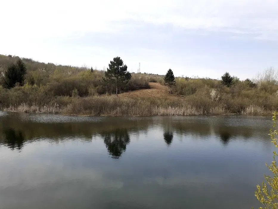 teren de vanzare la lac Brasov Tarlungeni - imagine 7
