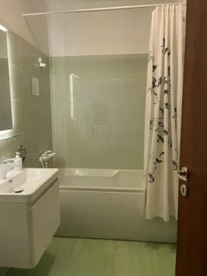 Inchiriez apartament 2 camere sector 3 - imagine 3