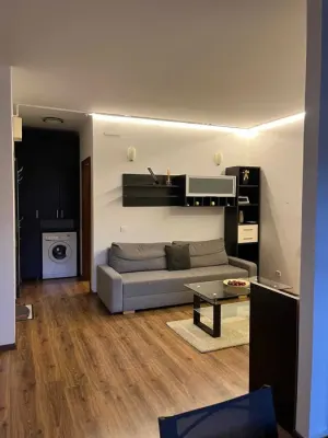 Inchiriez apartament 2 camere sector 3 - imagine 4