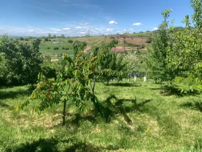 Teren intravilan cu fundatie casa, livada, aproape de Craiova - imagine 4
