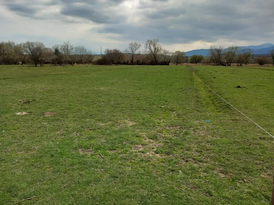 Teren Sibiu, situat în extravilanul municipiului - imagine 1