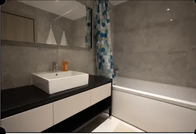 Studio/Garsoniera Lux & Elegant - imagine 6