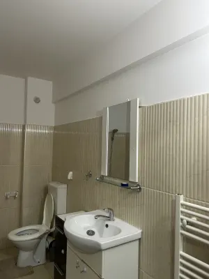 Închiriez apartament 1 cameră – Strada Beișului - imagine 4